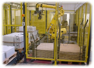 robot system depalletizing 2