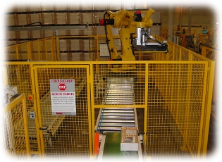 robot system palletizing 11