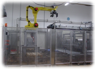 robot system palletizing 3