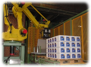 robot system palletizing 8